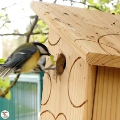 Nichoir "Fiesta" en bois ouverture Ø 34 mm pour oiseaux