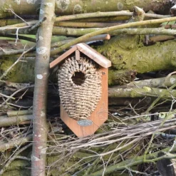 Nichoir poche traditionnel jonc de mer pour troglodyte
