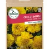 Oeillet d'Inde Swing Jaune d'Or 0,80g CAILLARD