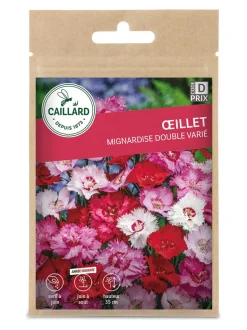 Oeillet Mignardise double Varié 0,50g CAILLARD