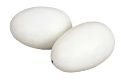 Oeuf de poule factice en bois x2