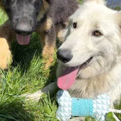 Os sonore bi-matière textile pour chien 29 cm