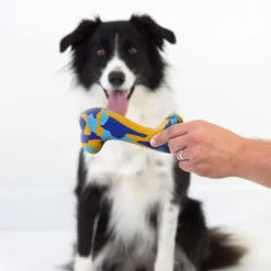 Os caoutchouc robuste jeu éducatif pour chien 13 cm