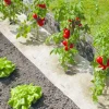 Paillage naturel Chanvrelin 0,5 x 5 m NORTENE