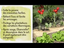 Paillage naturel Chanvrelin 0,5 x 5 m NORTENE