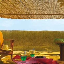 Paillon soleil naturel Reedcane 1 x 5 m