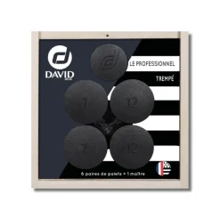 Palet - Le Professionnel trempé DAVID JEUX