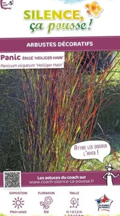 Panic érigé "Heiliger Hain" Pot 4.5L SILENCE ÇA POUSSE