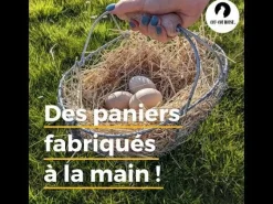 Panier à pommes en grillage 30L
