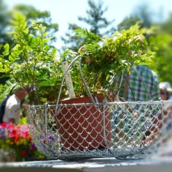 Panier à pommes en grillage 15L