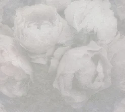 Papier peint vinyl sur support intissé romantique dream gris