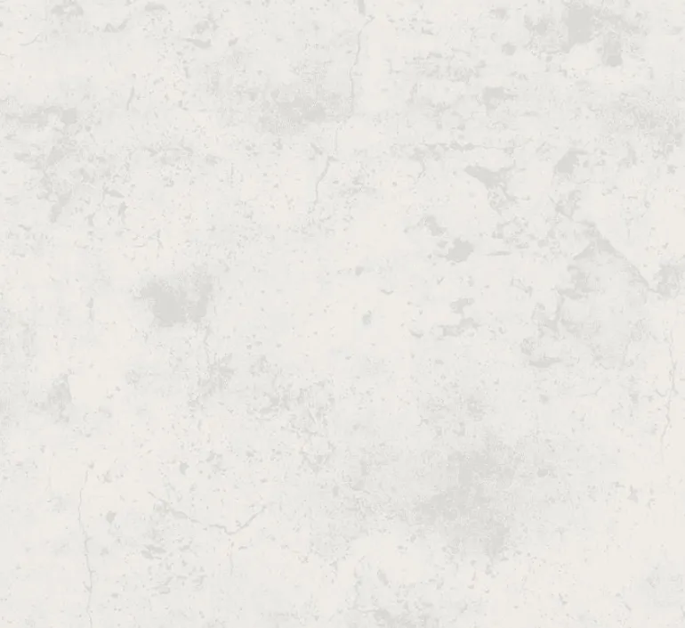 Papier peint vinyl sur support intissé loft béton gris clair