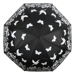 Parapluie oiseau couleur