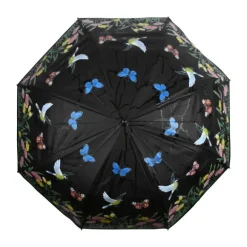 Parapluie oiseau couleur
