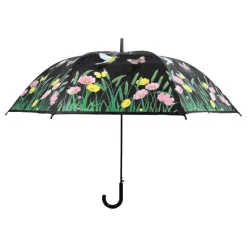 Parapluie oiseau couleur