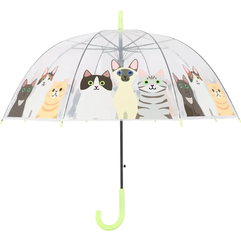 Parapluie transparent motif chats