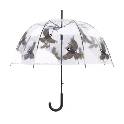 Parapluie transparent oiseaux