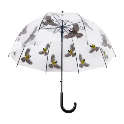 Parapluie transparent oiseaux