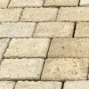 Pavé rectangulaire 20 x 10 cm ton pierre - à l'unité