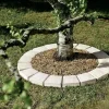 Pavé tour d'arbre pierre L.17 x l.13 x ép.4,5 cm (unité)
