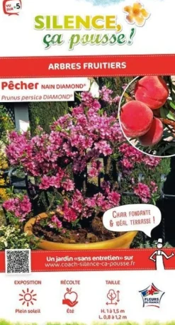 Pêcher nain "Diamond" Pot 7L SILENCE ÇA POUSSE