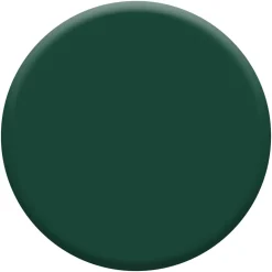 Peinture laque acrylique Valénite vert basque brillant 125ml