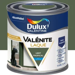 Peinture laque acrylique Valénite vert tropical mat 125ml