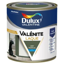 Peinture laque acrylique Valénite Vert Tropical Mat 0,5L