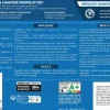 Peinture murs et plafonds Blanc essentiel Satin 10L V33