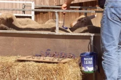 Peinture pour mouton 4kg bleue