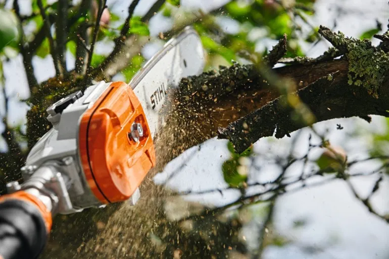 Perche élagueuse HTA 135 (produit seul) STIHL