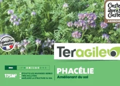 Phacélie 250g TERAGILE
