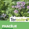 Phacélie 500g TERAGILE