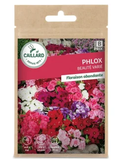 Phlox Beauté varié 0,80g CAILLARD