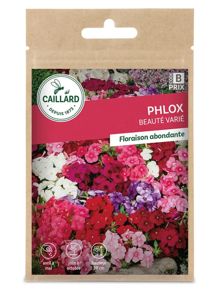 Phlox Beauté varié 0,80g CAILLARD