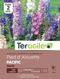 Pied d'Alouette Pacific Varié 0,8g TERAGILE