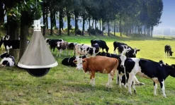 Piège à taon TaonX Eco