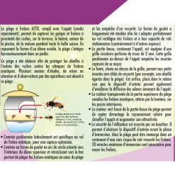 Piège à frelons asiatiques (sans appât) ACTO