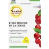 Piège à phéromone contre la mouche de la cerise (2 plaques)
