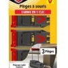 Pièges à souris 3 tapettes plastiques PROTECT EXPERT