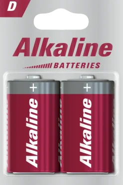 Pile Alkaline D/LR20 (x2)