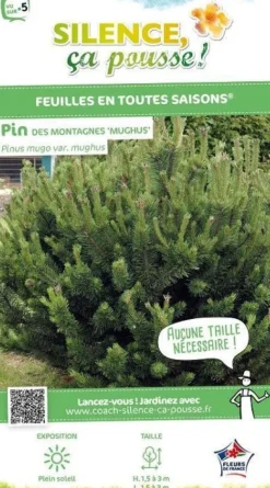 Pin de montagne Pot 2L SILENCE ÇA POUSSE