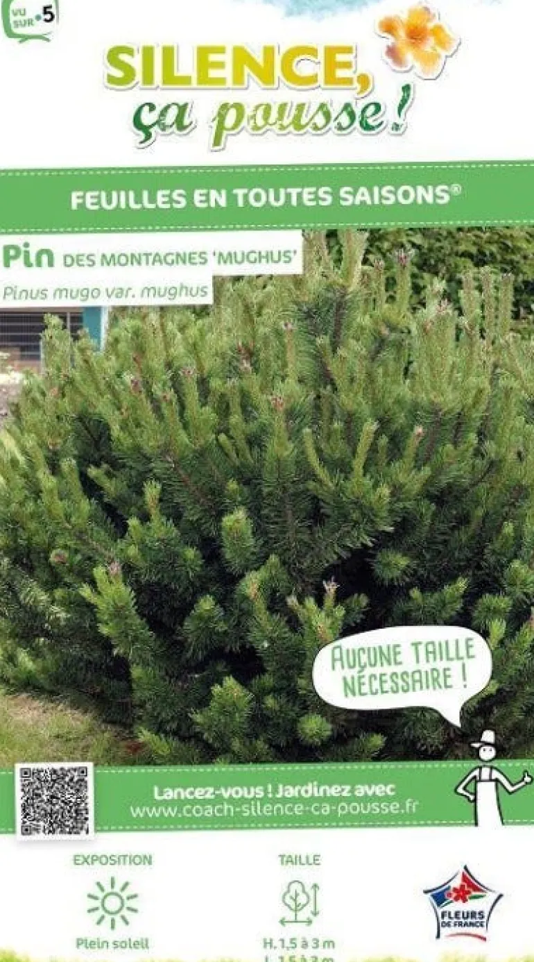 Pin de montagne Pot 4.5l SILENCE ÇA POUSSE