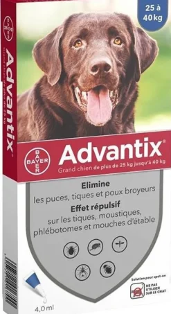 Pipettes antiparasitaire pour chien 25/40kg (x4) Adventix