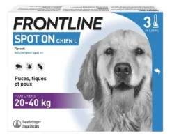 Pipette Spot pour chien L de 20 à 40kg (x3) FRONTLINE