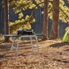 Plancha gaz 43 cm WEBER