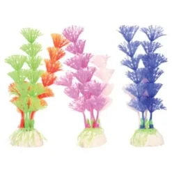 Plante colorée pour aquarium taille M
