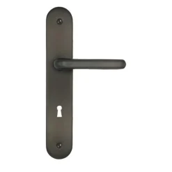 Poignée de porte sur plaque Jade alu gris serrure 195mm