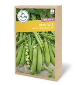 Pois Nain Ridé Merveille de Kelvedon 200g CAILLARD