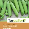 Pois Nain Ridé Amalfi 30g TERAGILE